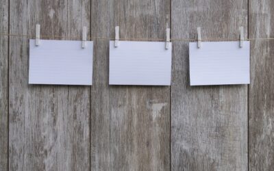 Nicchie di mercato: capire cosa sono per far decollare il proprio business